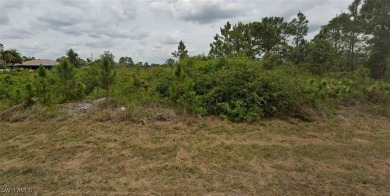 Beach Lot For Sale in Lehigh Acres, Florida
