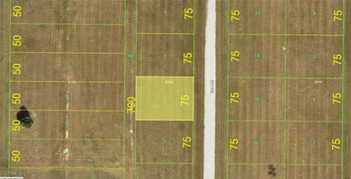 Beach Lot For Sale in Placida, Florida