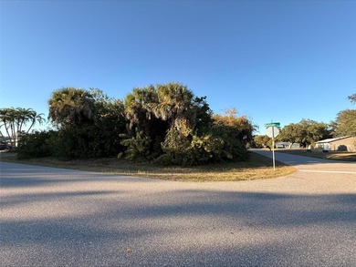 Beach Lot For Sale in Port Charlotte, Florida