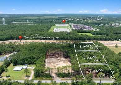 Beach Acreage For Sale in Ocean Springs, Mississippi