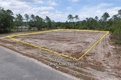 Beach Lot For Sale in Lehigh Acres, Florida