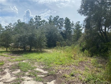 Beach Lot For Sale in Homosassa, Florida