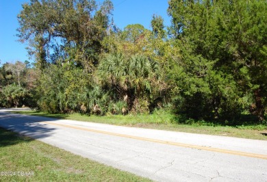 Beach Lot For Sale in New Smyrna Beach, Florida