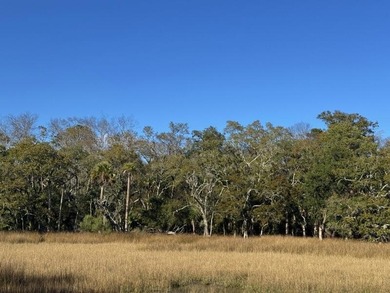 Beach Lot For Sale in Edisto Island, South Carolina
