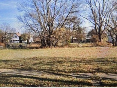 Beach Lot For Sale in Detroit, Michigan