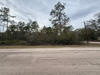 Beach Lot For Sale in Bunnell, Florida