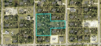 Beach Acreage For Sale in Lehigh Acres, Florida