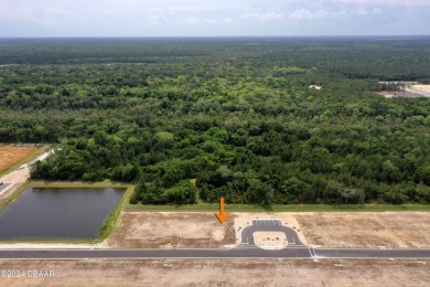 Beach Lot For Sale in Flagler Beach, Florida