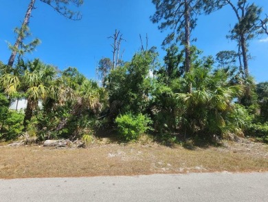 Beach Lot For Sale in North Port, Florida