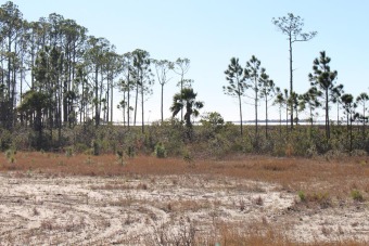 Beach Lot Off Market in Port St Joe, Florida