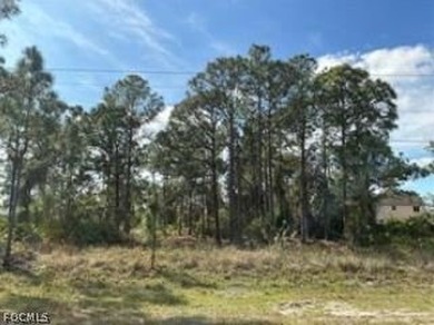 Beach Lot For Sale in Lehigh Acres, Florida