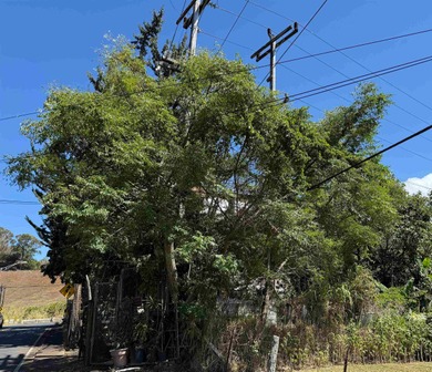 Beach Home Sale Pending in Makawao, Hawaii