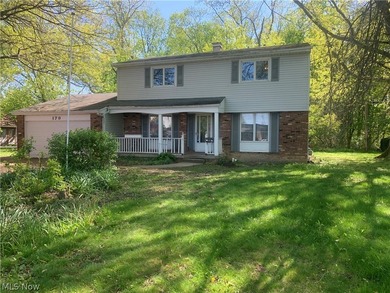 Beach Home For Sale in Avon Lake, Ohio
