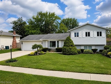 Beach Home Sale Pending in Sheffield Lake, Ohio
