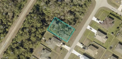 Beach Lot For Sale in Lehigh Acres, Florida