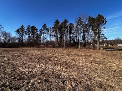 Beach Acreage For Sale in South Haven, Michigan