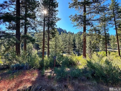 Beach Lot For Sale in Carson City, Nevada