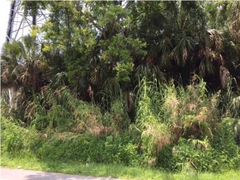 Beach Commercial Off Market in Apalachicola, Florida