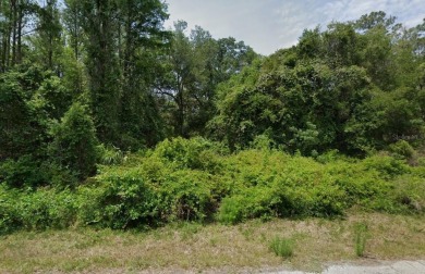 Beach Lot For Sale in Crystal River, Florida