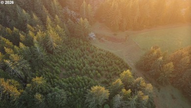 Beach Home For Sale in Langlois, Oregon