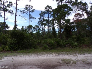 Beach Lot For Sale in Punta Gorda, Florida