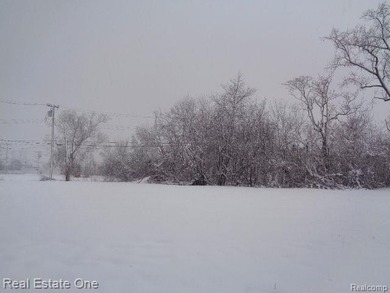 Beach Lot For Sale in Detroit, Michigan