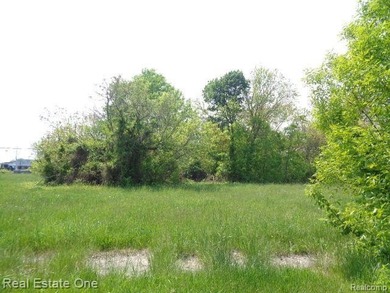 Beach Lot For Sale in Detroit, Michigan