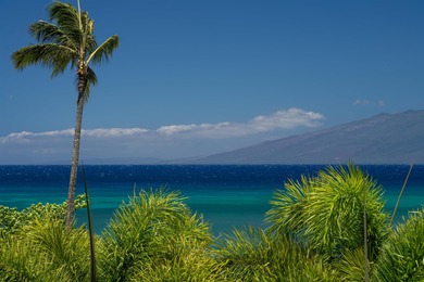 Beach Condo For Sale in Lahaina, Hawaii