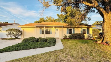 Beach Home For Sale in Tampa, Florida