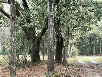 Beach Lot Off Market in Johns Island, South Carolina