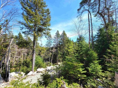 Beach Lot For Sale in East Chester,