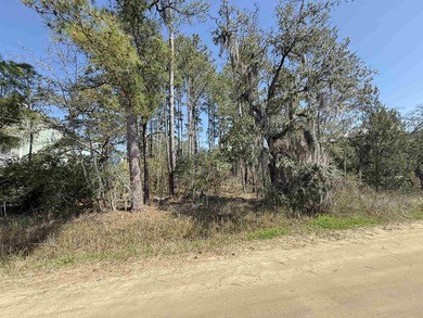 Beach Lot For Sale in Pawleys Island, South Carolina