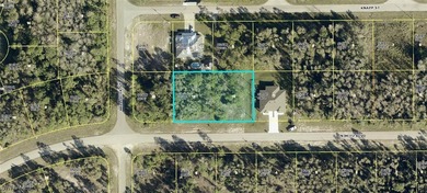 Beach Lot For Sale in Lehigh Acres, Florida