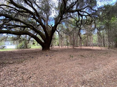Beach Lot For Sale in Saint Helena Island, South Carolina