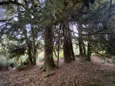 Beach Acreage For Sale in Warrenton, Oregon