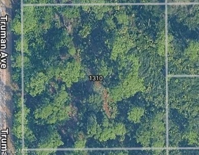 Beach Lot For Sale in Lehigh Acres, Florida
