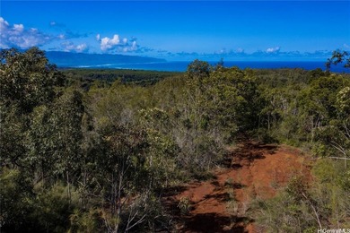 Beach Lot For Sale in Haleiwa, Hawaii