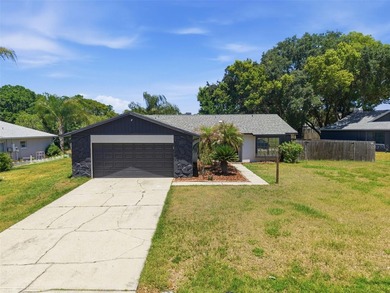 Beach Home Sale Pending in Land O Lakes, Florida