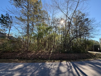 Beach Lot For Sale in Diamondhead, Mississippi