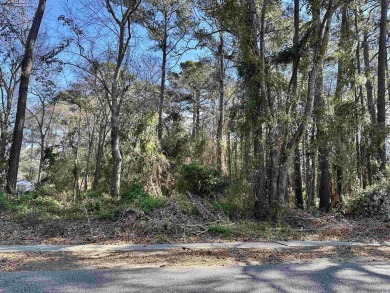 Beach Lot For Sale in Myrtle Beach, South Carolina