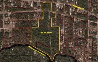 Beach Acreage Off Market in Inglis, Florida