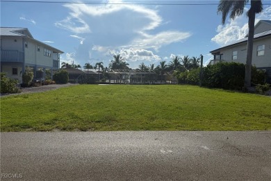 Beach Lot For Sale in St. James City, Florida