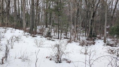 Wooded parcel w/multiple flat areas suitable for building - Beach Acreage for sale in Manistee, Michigan on Beachhouse.com