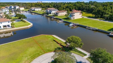 Beach Lot For Sale in Palm Coast, Florida