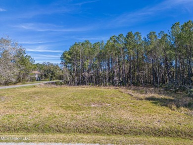 Beach Lot For Sale in Bay Saint Louis, Mississippi