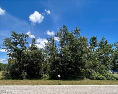 Beach Lot For Sale in Port Charlotte, Florida