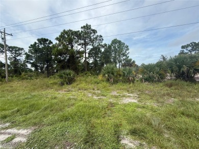 Beach Lot For Sale in Lehigh Acres, Florida