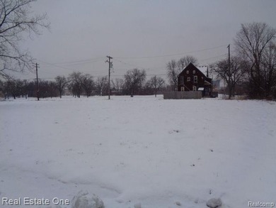 Beach Lot For Sale in Detroit, Michigan