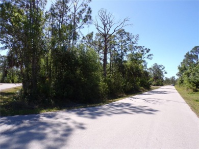 Beach Lot For Sale in Punta Gorda, Florida