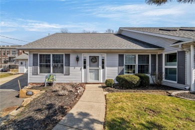 Beach Condo For Sale in Fairport Harbor, Ohio